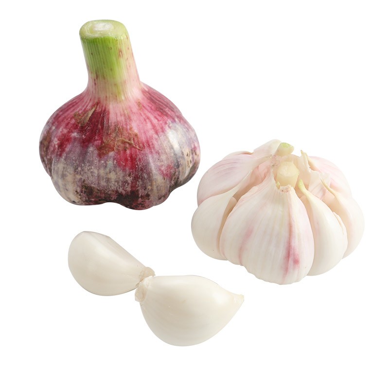 遇见悯农【现挖大蒜】蒜瓣新鲜带泥大蒜腌制糖蒜腊八蒜原料农产品产地直发 4.5斤囤货装