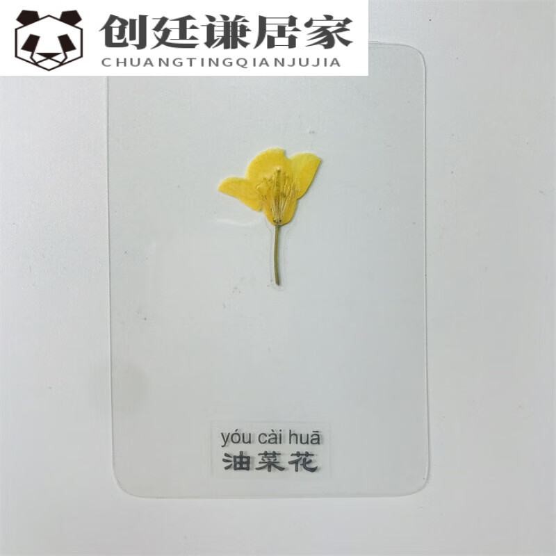 塑封书签 儿童教学标本 diy干花书签押花标本 油菜花标本*1(已塑封)