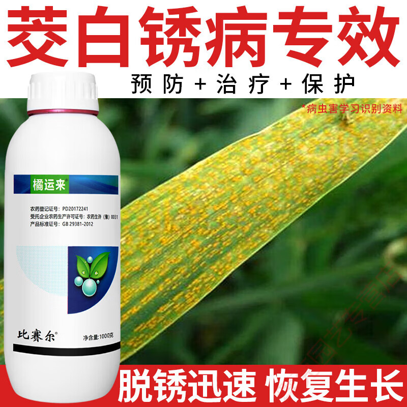茭白锈病防锈药戊唑醇黄疸病叶斑病黄斑锈病炭疽病农药杀菌剂 100g