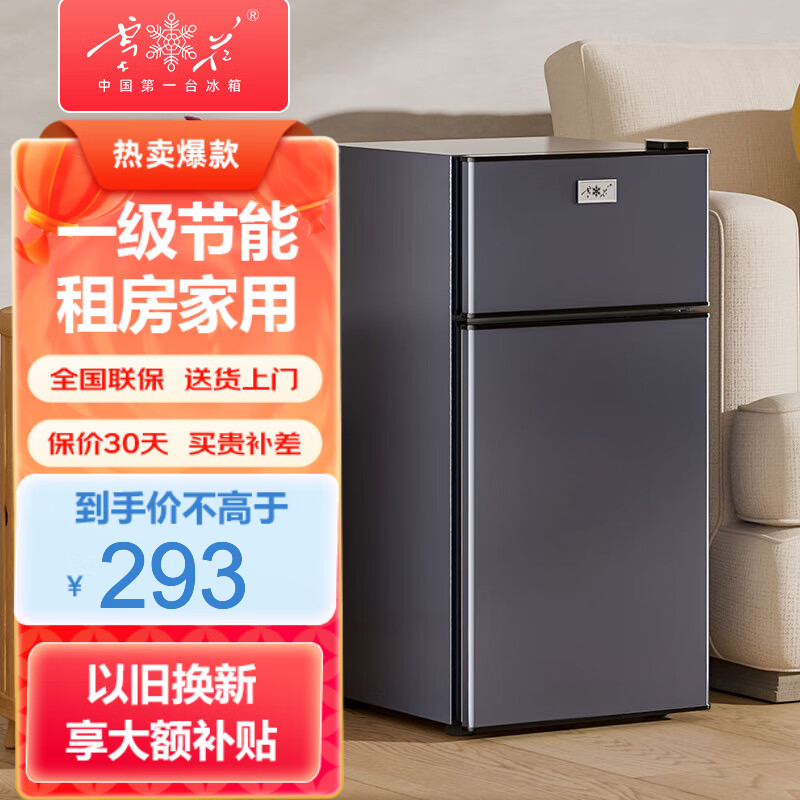 雪花(SNOWFLK)冰箱双门迷你小型电冰箱 家用租房冷藏冷冻 节能低噪 48升迷你款丨上冷冻下冷藏怎么看?