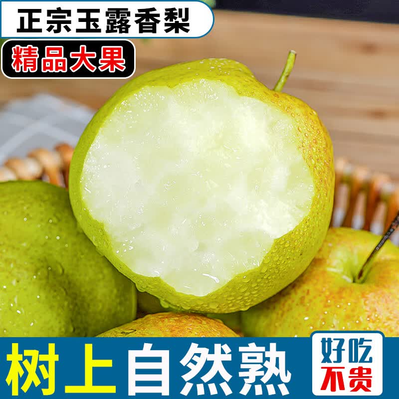 傻果正宗山西玉露香梨脆甜梨子 水果新鲜当季整箱 带箱5.5-6斤装大果(9-12枚)高性价比高么?