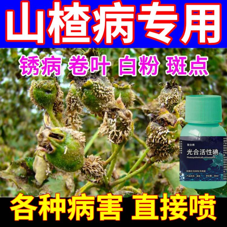 沃邦兄弟山楂树专用杀菌病害全管锈病黄叶卷叶病花腐病白粉病斑点病
