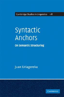 预订 syntactic anchors