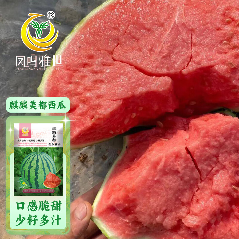 凤鸣雅世早熟四季西瓜种籽薄皮礼品杂交西瓜种子麒麟美都西瓜种子100粒怎么看?