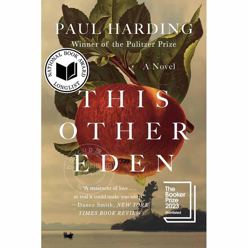 另一个伊甸园 布克奖短名单作品 paul harding 英文原版 this other