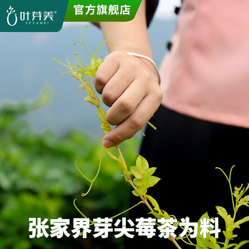 叶芽美 张家界莓茶特级碎芽尖500g 茅岩霉茶藤茶高山霉茶碎芽250g土家莓茶永顺藤茶 芽尖碎茶500g