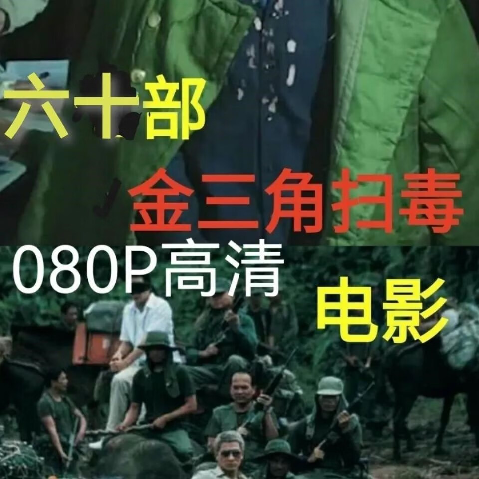 erilles金三角缉毒警匪高清电影64gu盘68部电影支持看戏机电视投影