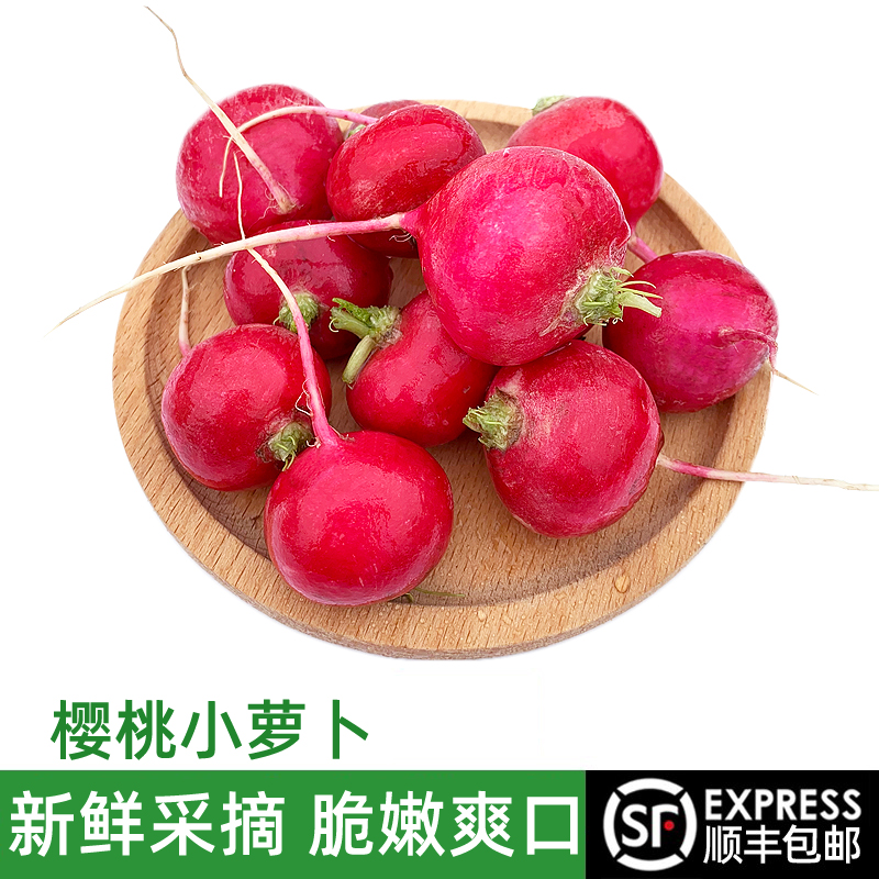绿食者 樱桃萝卜2斤 迷你水果小红圆萝卜 沙拉食材生吃蔬菜 3斤