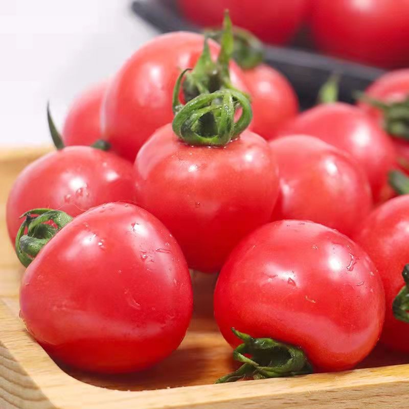 【顺丰包邮】正宗樱桃小番茄贝贝千禧果新鲜水果西红柿圣女果番茄 净重5斤【顺丰+泡沫箱】新鲜采摘