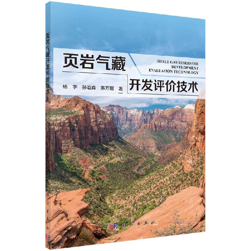 页岩气藏开发评价技术