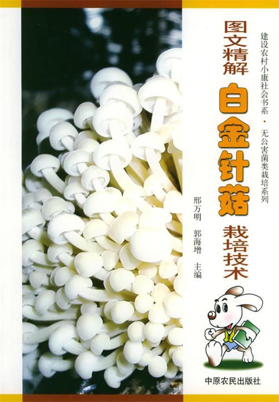 图文精解白金针菇栽培技术