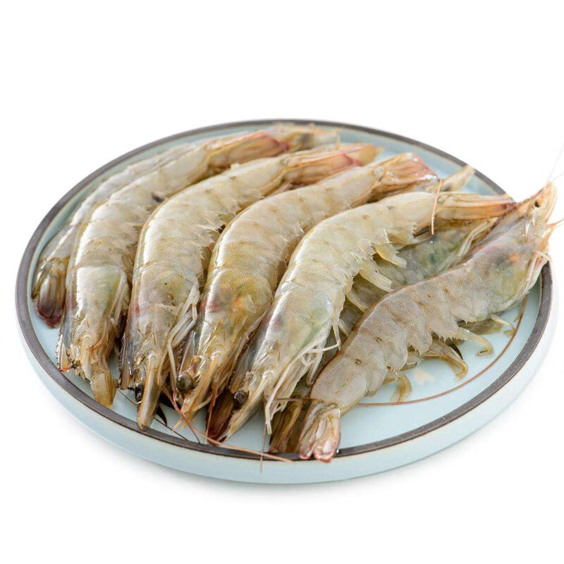 御鲜之王 海白虾鲜活 新鲜大虾 海鲜水产生鲜活虾 500g 30只左右/斤