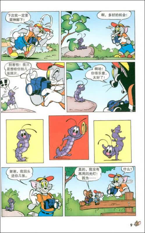 【正版书】猫和老鼠 摄影大赛