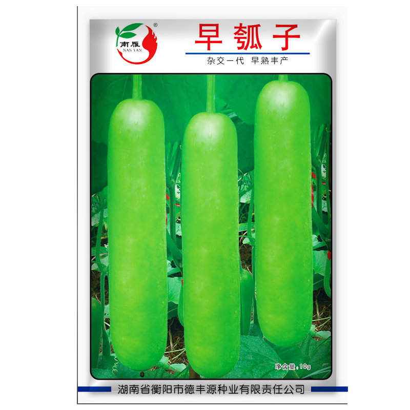 鳳鳴雅世  南雁早生瓠瓜種子四季蔬菜口味好蒲瓜葫蘆甜瓠瓜菜葫蘆種孑爬藤 早瓠子種子10克 瓠瓜
