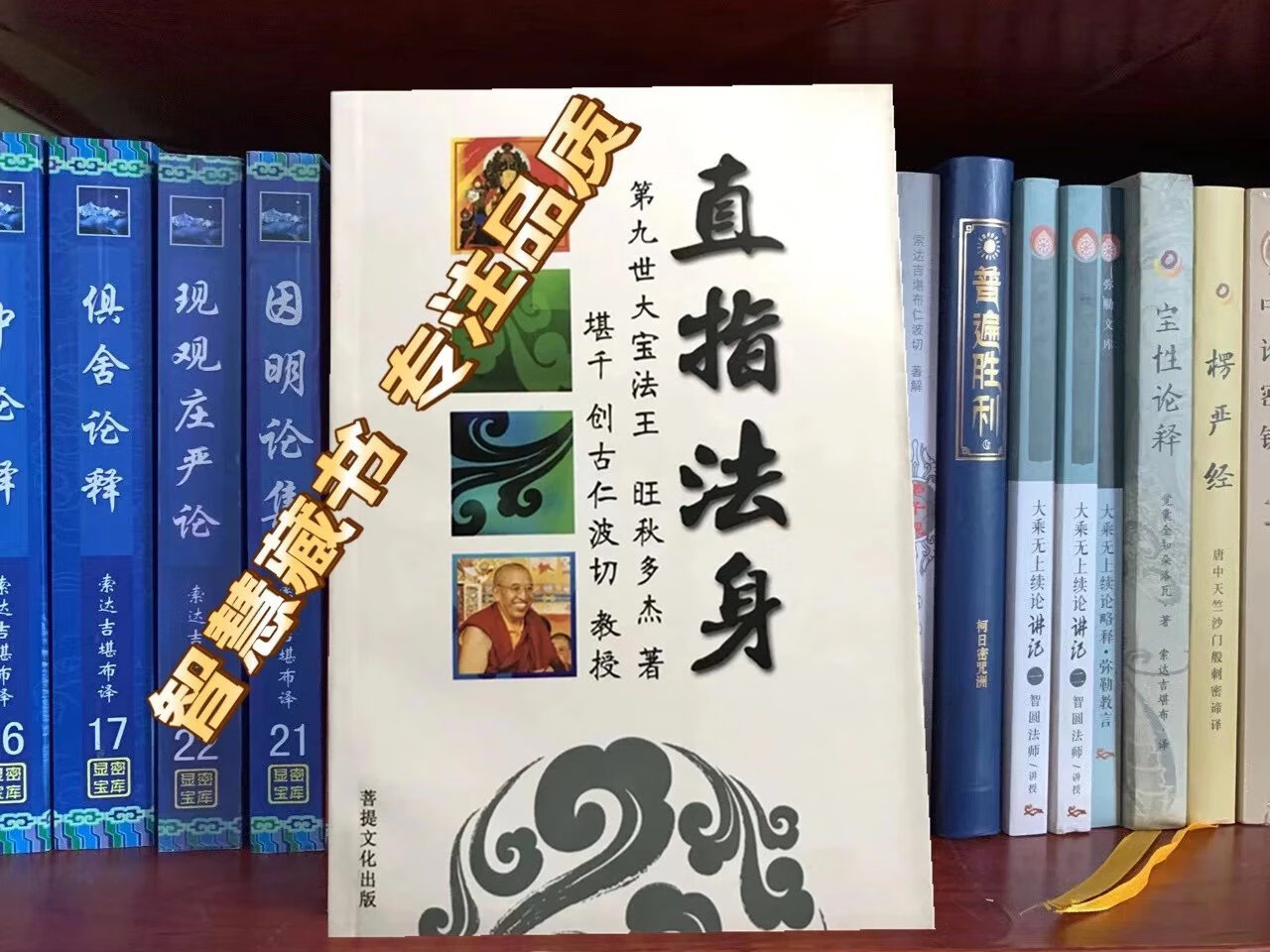 直指法身 第九世大宝法王旺秋多杰著 创古仁波切教授 简体横排