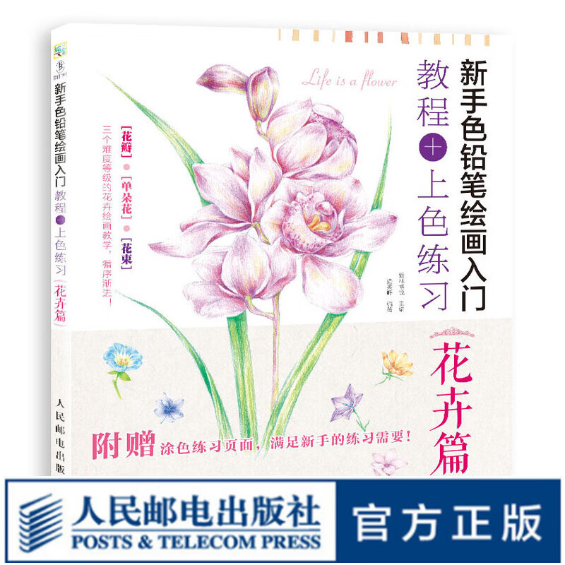 新手色铅笔绘画入门 教程+上色练习 花卉篇