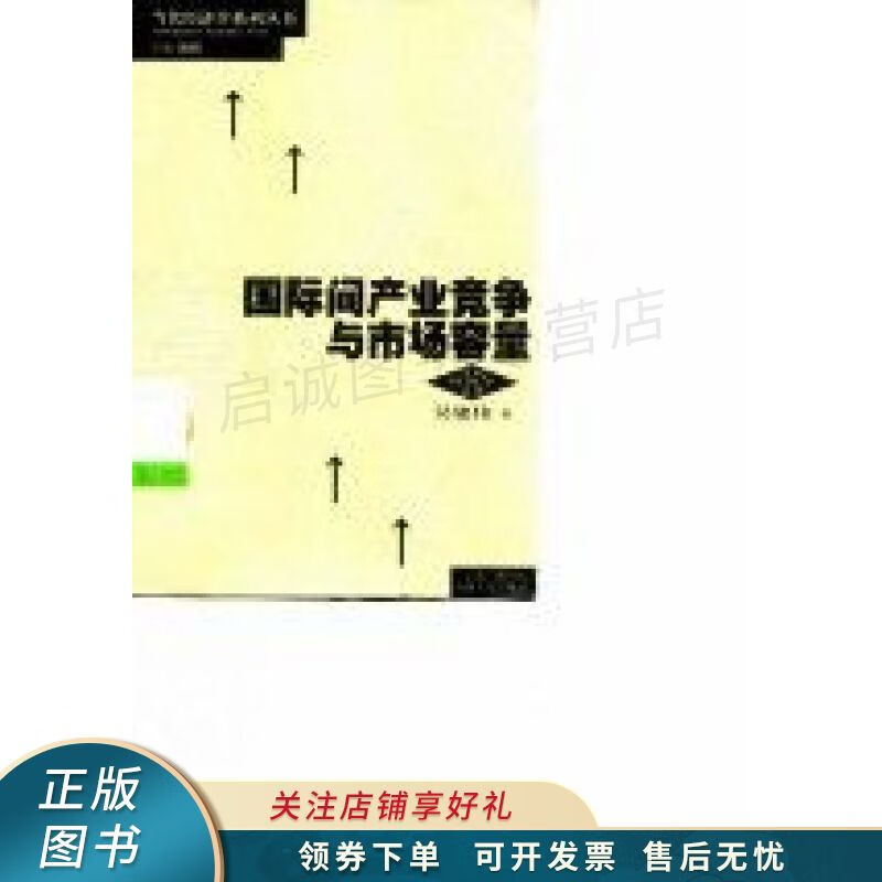 国际间产业竞争与市场容量 吴建伟【稀缺图书,放心购买】