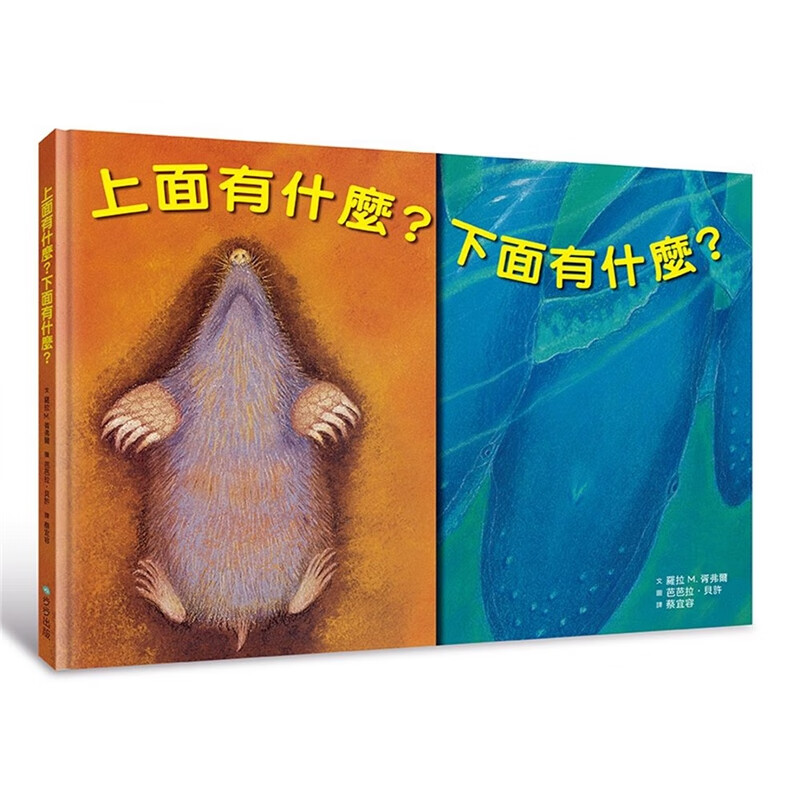 预订台版 上面有什么 下面有什么 文案策划图形图案配色色彩艺术绘画 步步出版