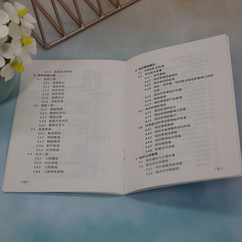 软考教程 信息系统项目管理师考试大纲（全国计算机技术与软件专业技术资格（水平）考试指定用书）详情图