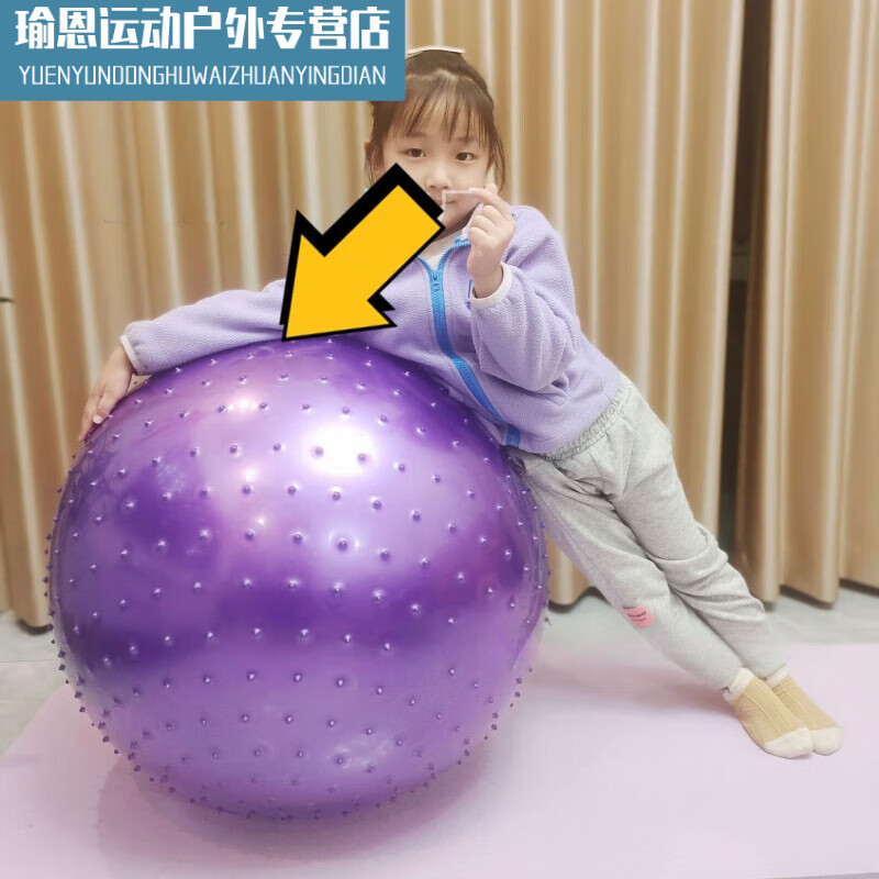 澳颜莱感统训练器材感统球颗粒按摩球大龙球触觉球瑜伽球85m 85紫