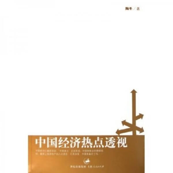 中国经济热点透视
