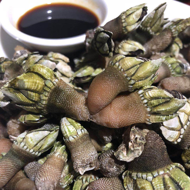 鹅颈藤壶海鲜佛手螺鲜活特大超大狗爪螺海鸡脚螺鸡爪螺龟爪螺鬼爪 1斤