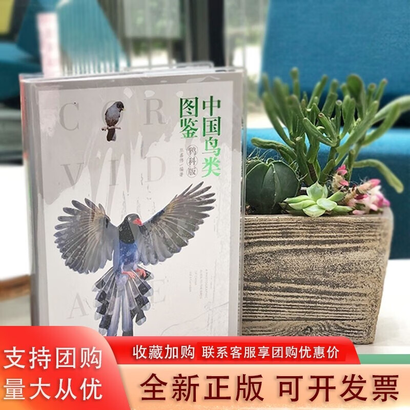 中国鸟类图鉴鸦科 中国鸟类野外观察手册 