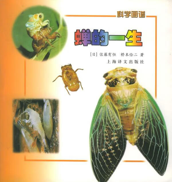 蝉的一生—科学画谱【稀缺图书,放心购买】