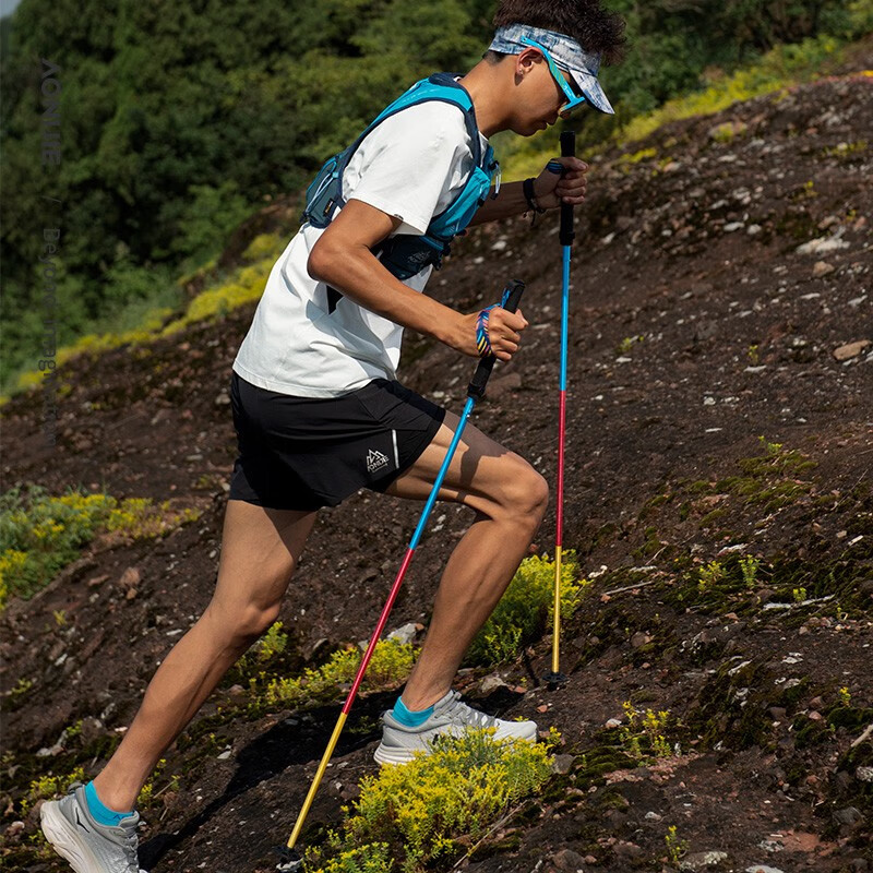 奥尼捷（AONIJIE）折叠登山杖碳纤维徒步拐杖超轻越野手杖专业户外跑步行山杖多功能 灰金色120CM一对装