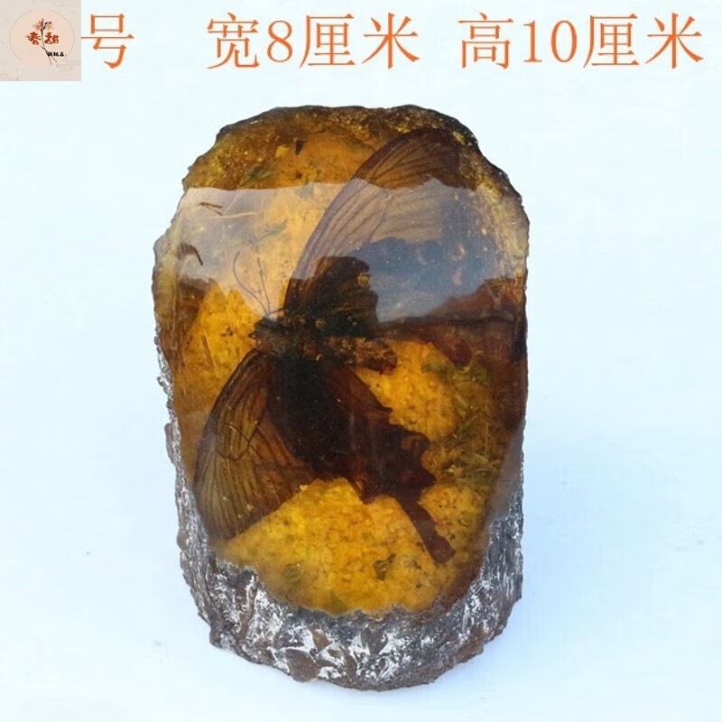 春甜人工琥珀蝴蝶翅膀琥珀标本虫珀树脂昆虫摆件