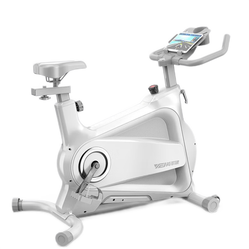 英尔健 动感单车家用智能健身磁控静音智能健身车运 标准版