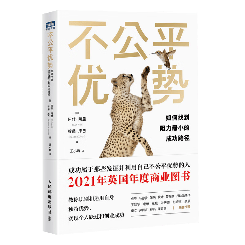 不公平优势：如何找到阻力最小的成功路径（图灵出品）