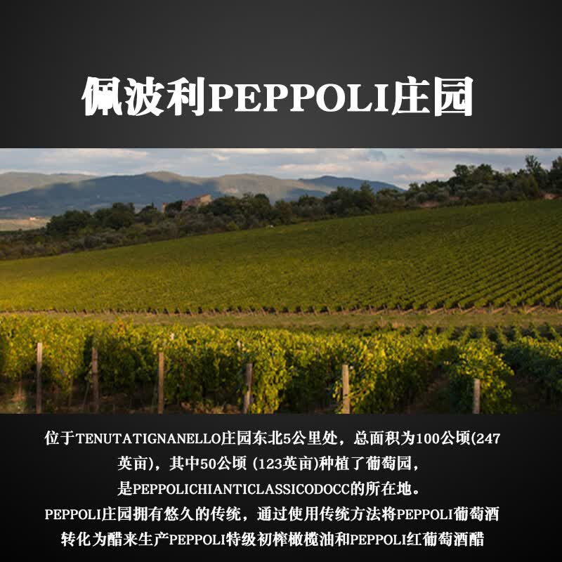 LEELER意大利原瓶进口安东尼世家碧波园经典基安蒂 DOCG级干红葡萄酒 【整箱装】黑公鸡干红*6+礼袋