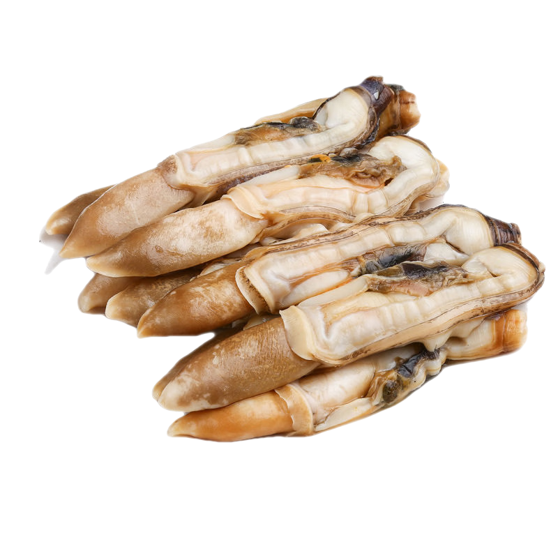 安峰山蟶子鮮活海鮮水產(chǎn)冷凍蟶子肉新鮮現剝蟶子王竹節蟶冷凍竹蟶子 1斤嘗鮮裝