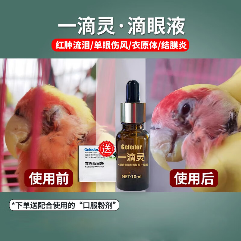 格萊德一滴靈單眼傷風(fēng)牡丹鸚鵡鳥信鴿流淚紅腫非鴿藥眼藥水鴿子藥病非藥