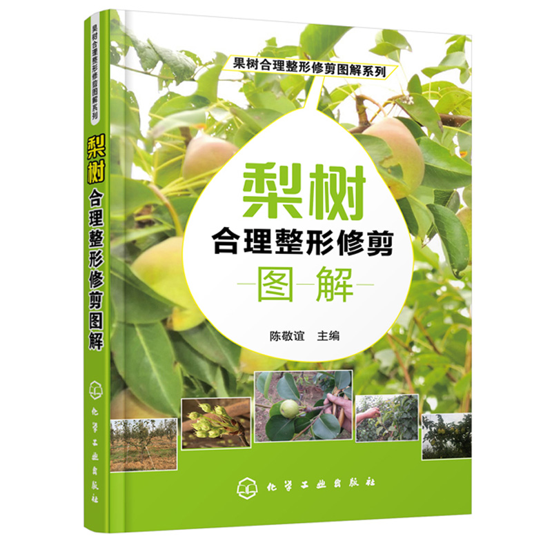 梨树合理整形修剪图解 梨树栽培书籍 梨丰产栽培实用技术大全
