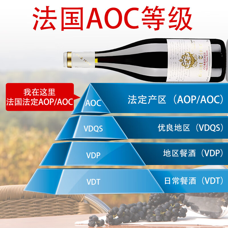 圣汀格金奖AOC法国原瓶进口红酒整箱14.5度6支装珍藏干红葡萄酒礼盒装 【金奖AOC】单瓶(礼品袋+开瓶器)