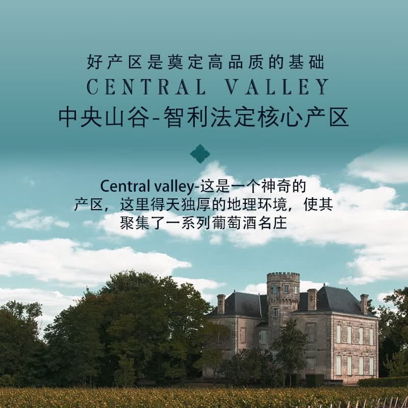克洛巴蒂(COROBARDY)【幸运女神】智利进口红酒整箱小酒干红葡萄酒小瓶红酒迷你微醺酒 187ml单瓶装