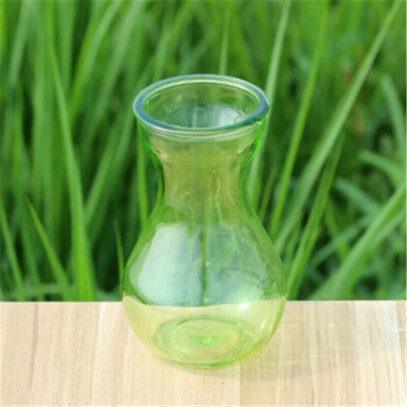 玻璃花盆 透明玻璃绿萝花瓶 富贵竹水养植物容器花盆 风信子浅绿色