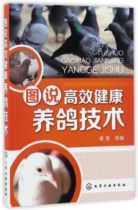 图说高效健康养鸽技术