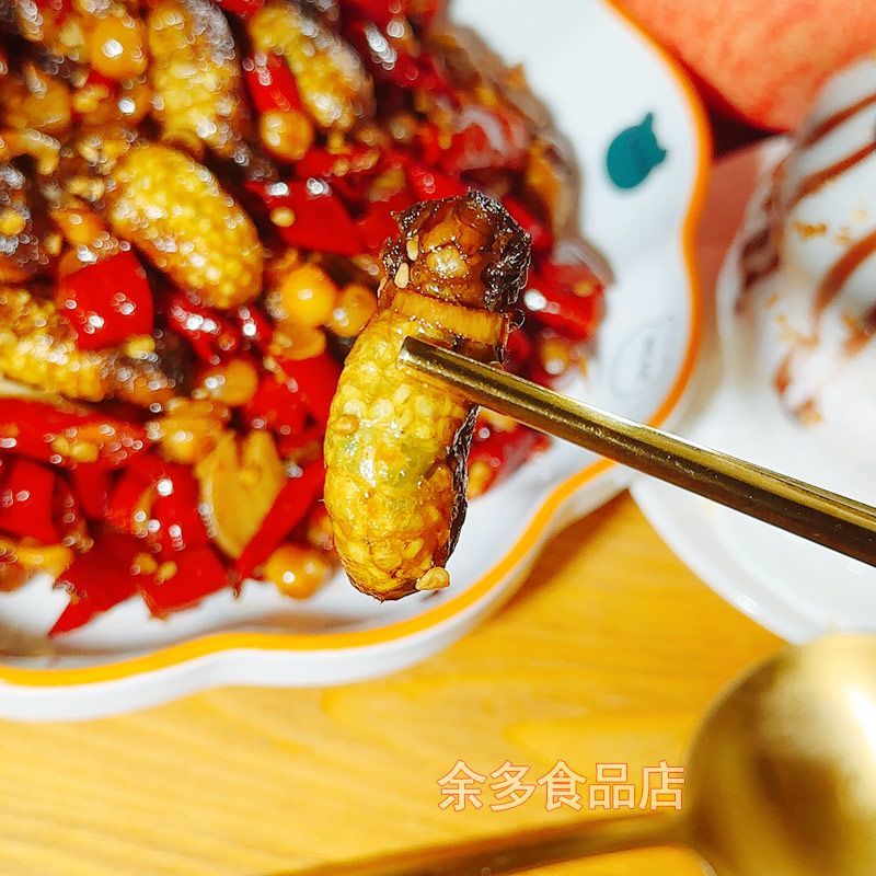 食芳溢油炸满籽母蚕蛾即食带籽雌蚕蛾蚕蛹蜕变多籽母蛾子熟食昆虫