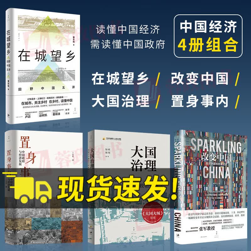 【官方正版】文景中国之治（套装4册）置身事内 中国政府与经济发展+大国治理+改变中国：经济学家的改革记述+在城望乡：田野中国五讲 一套书读懂中国经济 经济学书籍