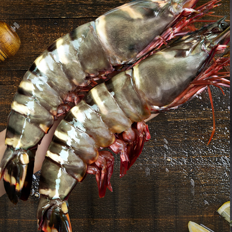 北极滩巨型黑虎虾超大虾新鲜1000g6只特大虎虾鲜活速冻海鲜水产年货