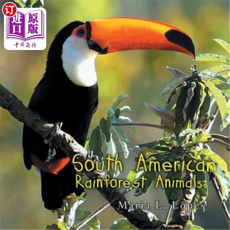 海外直订south american rainforest animals 南美雨林动物