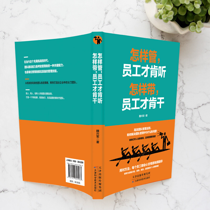 正版 怎样管 员工才肯听 怎样带 员工才肯干 工作管理书籍 企业管理书籍管理学思考沟通