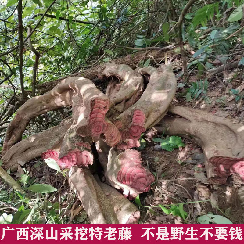鸡血藤中药材广西正宗野生鸡血藤片双藤汤鸡血藤海风藤桂枝 【老树鸡血藤1000克】
