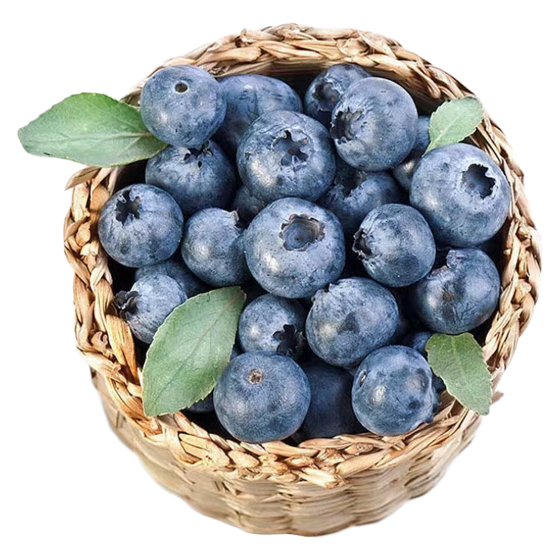 愉果（yuguo）云南新鲜蓝莓125g装 新鲜水果 新鲜水果 12盒优选果