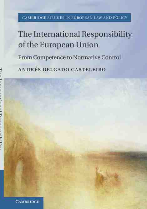 预售 按需印刷the international responsibility of the european