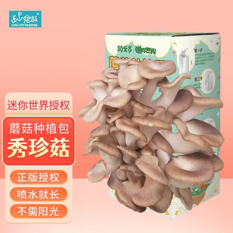 匠心绽放秀珍菇 蘑菇种植包 迷你世界可食用菌包菌棒菌种新鲜开学季礼物属于什么档次？