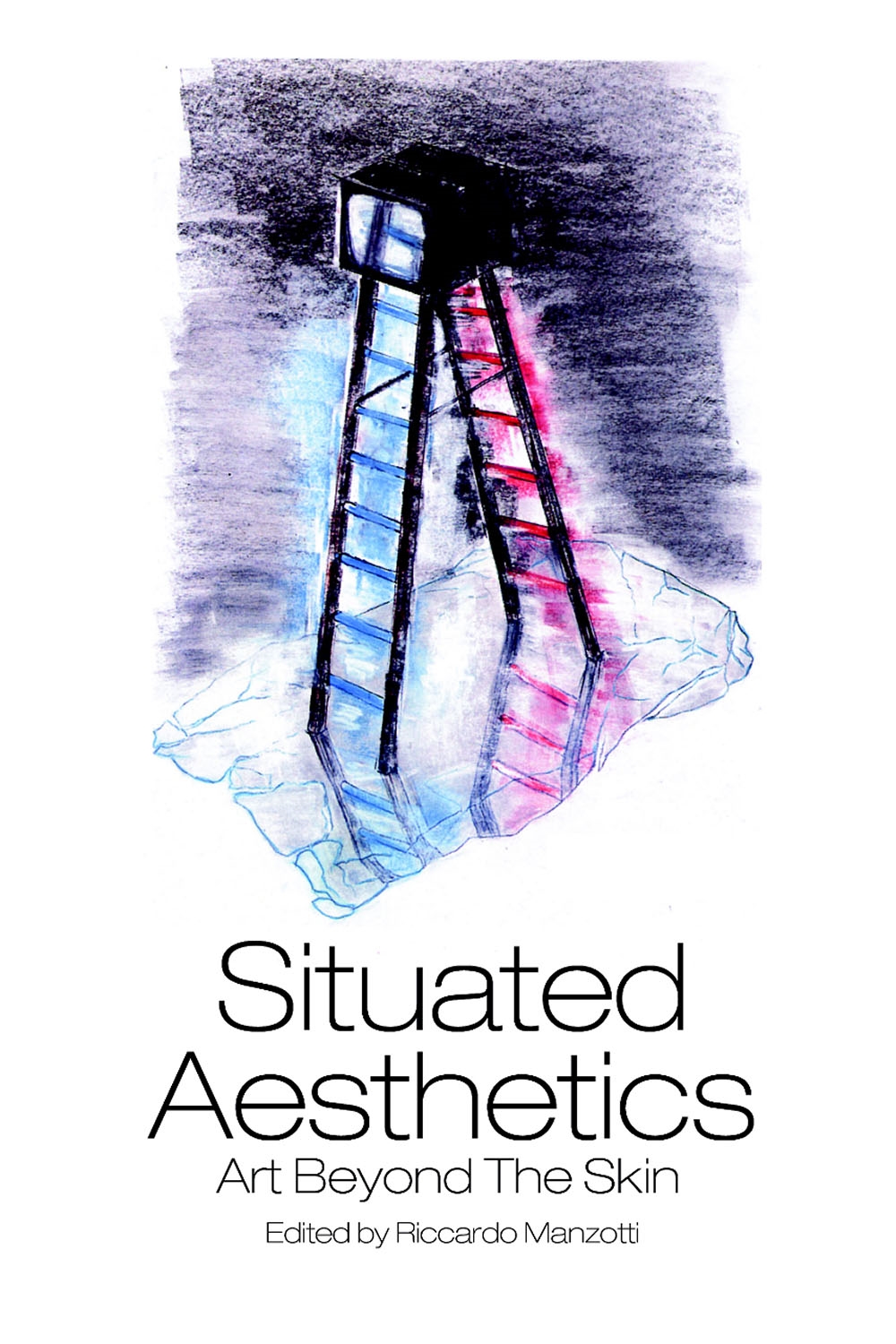situated aesthetics : art beyond the skin